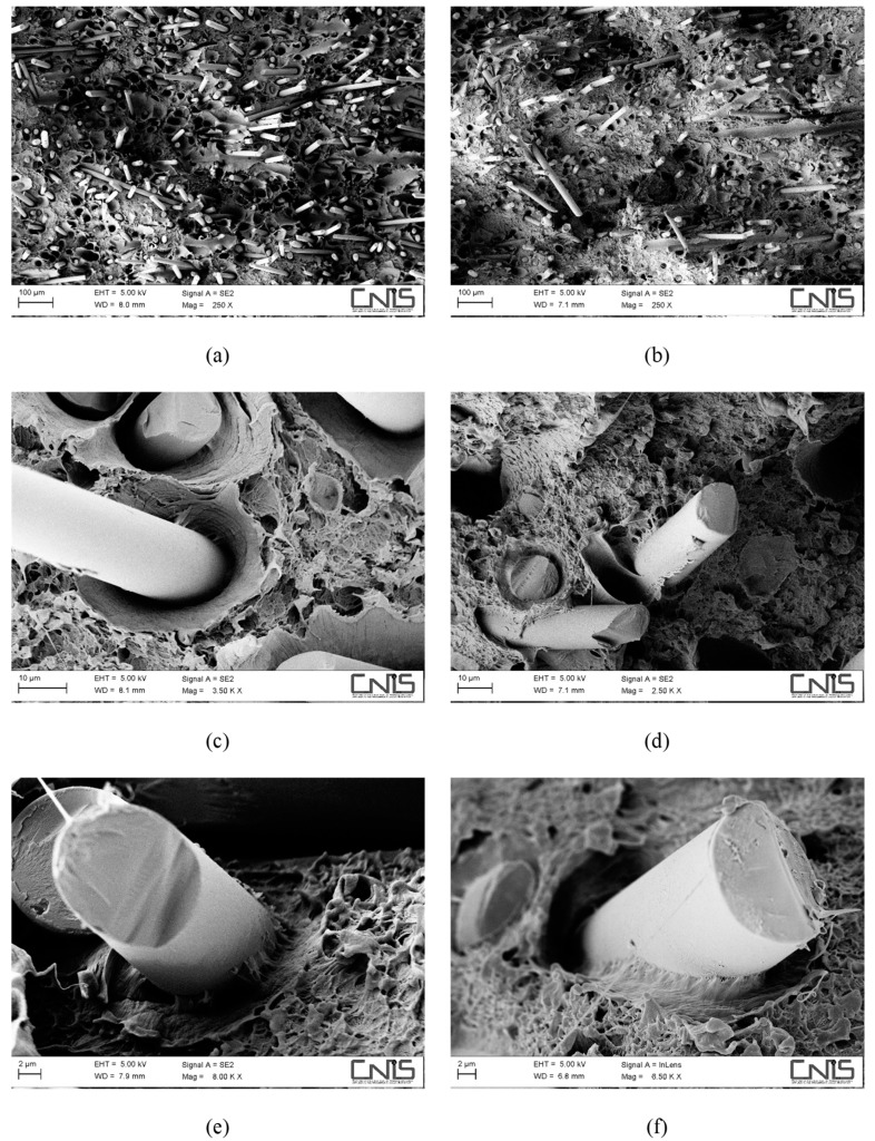 SEM micrographs detailing the fracture surface of water-aged composites, reinforced with 30 wt % of basalt fibres without (a,c,e) and with (b,d,f) a coupling agent.