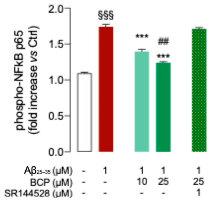 The BCP/CB2R system modulates the phosphorylation of P65 in Aβ25-35-induced HMC3 cells. BCP pretreatment suppresses the phosphorylation level of P65 in HMC3 cells exposed to Aβ25-35 1 μM for 48 h. Pretreatment with SR144528 (1 μM) completely abolished BCP effect. Data represent means ± S.E.M. from three independent experiments (n = 3), performed in duplicate. Statistical analysis was performed using ordinary one-way ANOVA followed by Tukey’s multiple comparison test. §§§ p < 0.005 compared to control cells; *** p < 0.005 compared to cells exposed to Aβ 1 μM treatment for 48 h; ## p < 0.01 compared to cells pretreated with 10 µM BCP before exposure to Aβ 1 μM.