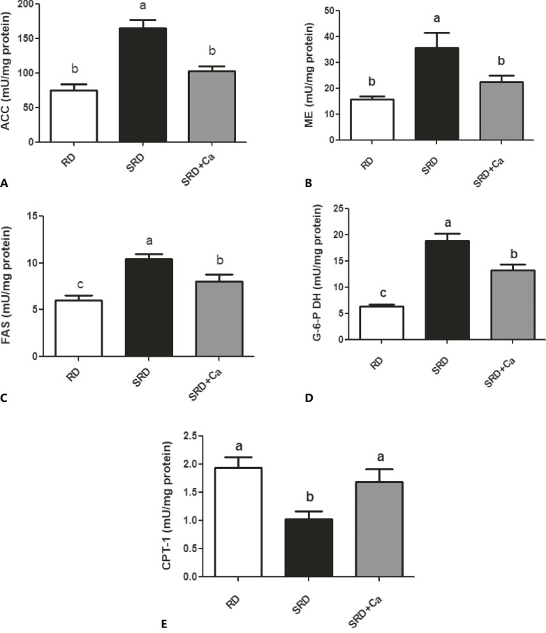 Hepatic enzyme activities involved in lipid metabolism in rats fed a reference diet (RD), sucrose-rich diet (SRD), or SRD with cannabis oil (SRD + Ca). A Acetyl-CoA carboxylase (ACC). B Malic enzyme (ME). C Fatty acid synthase (FAS). D Glucose-6-phosphate dehydrogenase (G-6-PDH). E Carnitine palmitoyltransferase-1 (CPT-1) activities. Values are expressed as mean ± SEM, n = 6. Bars that do not share the same letter are significantly different (p < 0.05) when one variable at a time was compared by one-way ANOVA followed by Newman-Keuls test.