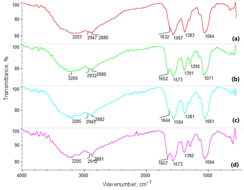 FTIR spectra of chitosan biomaterials modified with poly(dopamine)@Pt/PVP NPs: (a) sample 9; (b) sample 10; (c) sample 11; (d) sample 12.
