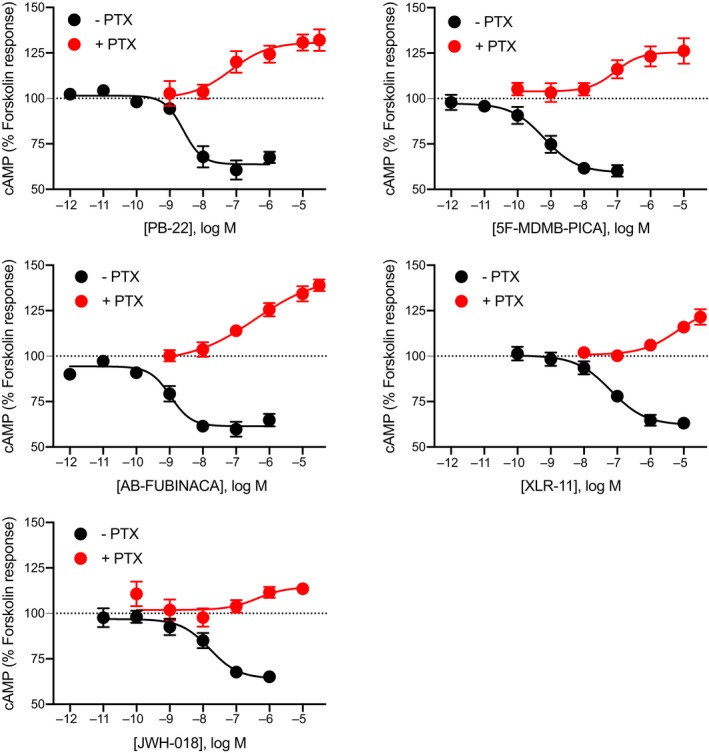 Concentration response curves for SCRAs‐induced stimulation and inhibition of cAMP signaling. Pooled concentration response relationship for five SCRAs (PB‐22, 5F‐MDMB‐PICA, AB‐FUBINACA, XLR‐11, and JWH‐018) for two signaling outputs of cannabinoid receptor type 1—stimulation and inhibition of cAMP levels following overnight treatment in the absence (−PTX, black), or presence (+PTX, red) of PTX. Data were normalized to forskolin (FSK, 100%) and vehicle (0%), and plotted as mean ± SEM for at least five independent experiments performed in duplicate. For some points, the error bars are shorter than the height of the symbol. BRET, bioluminescence resonance energy transfer; cAMP, cyclic adenosine monophosphate; PTX, pertussis toxin; SCRA, synthetic cannabinoid receptor agonist