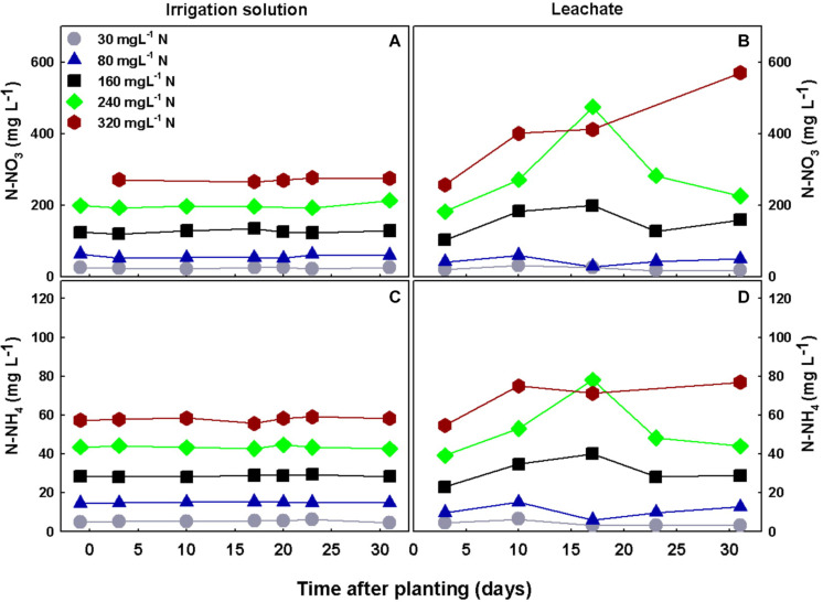 Concentrations of N-NO3 and N-NH4 in the irrigation solutions (A,C), and leachates (B,D), throughout the experiment duration.