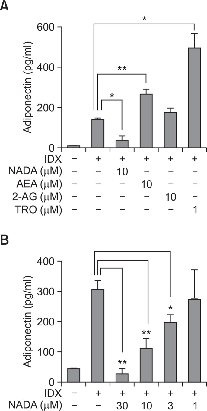 Effects of endocannabinoids on adiponectin production during adipogenesis in hBM-MSCs. When hBM-MSCs were in confluent state, adipogenesis was induced by exchanging media with the IDX adipogenic cocktail. ELISA was performed to measure the concentration of adiponectin (A) accumulated in cell culture supernatants for 48 hours after the last medium exchange. The concentration-dependent effect of arachidonyl dopamine (NADA) on the inhibition of adipogenesis was evaluated (B). Values represent the mean expression ± standard deviation (SD) (n=3). *p≤0.05 and **p≤0.01.