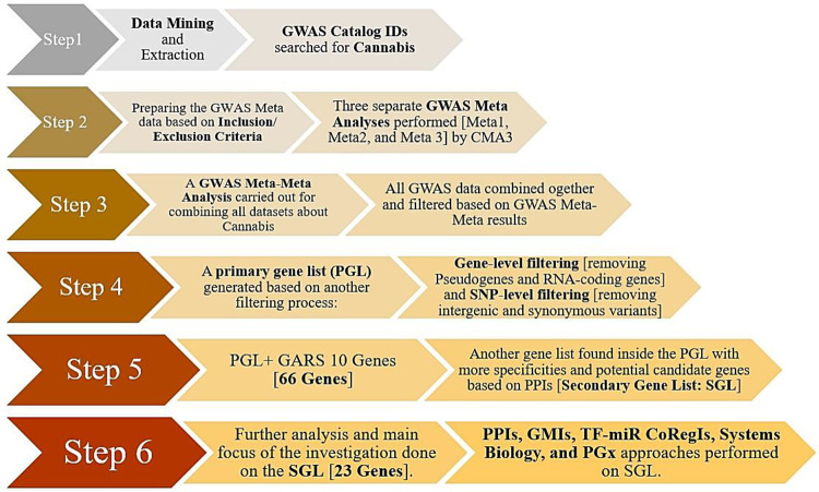 this illustration reveals a flowchart of the analysis’s strategy employed in this study.Abbreviations are as follows: GWAS: Genome-Wide Association Studies; CMA3: Comprehensive Meta Analysis 3; PGL: Primary Gene List; SGL: Secondary Gene List; PPIs: Protein-Protein Interactions; GMIs: Gene-miRNA Interactions; and TF-miR CoRegI: Transcription Factor- miRNA Co-Regulatory Interactions.