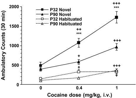 Effects of age and environment on acute cocaine-induced locomotion. Mean ± SEM ambulatory counts on day 1 for naive or habituated adolescent (P32) and adult (P90) rats after i.v. cocaine (0, 0.4 or 1 mg/kg) injections. Since there was no effect of nicotine pretreatment, groups were collapsed across this variable. Cocaine induced a dose-dependent locomotor activation in adolescent and adult rats. Novel environment (filled symbols) enhanced the behavioral response to all doses of cocaine compared to those habituated (open symbols) and reveals an effect of age. Adolescent rats show an increased response to cocaine as compared to adults in the novel environment. +p < 0.05, ++p < 0.01, +++p < 0.001 vs. 0 dose; *** p < 0.0001 vs. age; n = 11–26/group