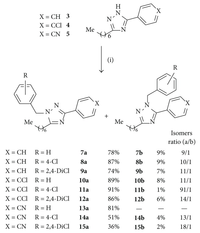 Reagents: (i) benzyl bromide for 7a-7b, 10a-10b, and 13a; 4-chlorobenzyl chloride for 8a-8b, 11a-11b, and 14a-14b; and 2,4-dichlorobenzyl chloride for 9a-9b, 12a-12b, and 15a-15b; 40% NaOH aq, Bu4NBr, and toluene, 80°C.
