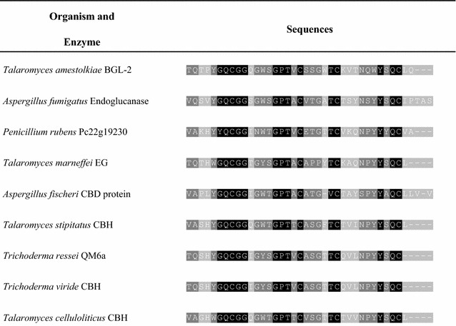 Sequence alignment of the CBD region of T. amestolkiae BGL-2 with other CBDs reported in different fungal cellulases using the T-coffee alignment program. The accession numbers of the compared enzymes are: XP_748707.1 (A. fumigatus), XP_002565826.1 (P. rubens), XP_002152969.1 (T. marneffei), XP_001262453.1 (A. fischeri), and XP_002484839.1 (T. stipitatus), XP_006969224.1 (T. reesei), AAQ76092.1 (T. viride), and GAM33347.1 (T. celluloliticus). Black color shows the conserved residues in all cases. Dark grey shows the amino acids with 1 or 2 variations. Light grey indicates the residues with 3 or more variations between the sequences
