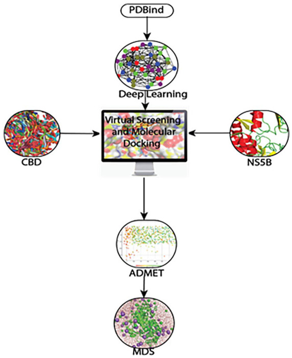 The sequence of the steps followed in this study.