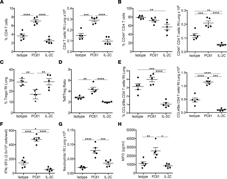 Loss or gain of Tregs modulates the Be-specific adaptive immune response.HLA-DP2 Tg mice were exposed to 3 doses of BeO and treated with either isotype control antibody, anti-CD25 mAb (PC61) at days –2 and 7, or IL-2/αIL-2 complexes (IL-2C, IL-2 combined with anti-IL-2 [JES6-1]) at days –2, 0, 2, and 7 and analyzed at day 12. (A and B) At day 12, the frequency (left panel) and number (right panel) of total CD4+ T cells (A) and CD4+CD44+ Teffs (B) in the lungs are shown. (C) Percentage of CD4+FoxP3+ Tregs in the lungs of BeO-exposed HLA-DP2 Tg mice. (D) Ratio of CD44+ Teffs to Tregs in the lungs of BeO-exposed HLA-DP2 Tg mice. (E) Frequency (left panel) and number (right panel) of HLA-DP2-CCL4/Be–specific CD4+ CD44+ T cells in the lungs of BeO-sensitized HLA-DP2 Tg mice. (F) IFN-γ secretion by CD4+ T cells purified from the lungs of HLA-DP2 Tg mice and stimulated with BeSO4 (100 μM) in the presence of irradiated naive splenocytes. (G) Number of Ly6G+ neutrophils in the lungs of HLA-DP2 Tg mice. (H) Myeloperoxidase (MPO) in the BALF of HLA-DP2 Tg mice. Data (shown as mean ± SEM) are representative of 3 individual experiments (5 mice per group). Significance was determined by 1-way ANOVA. *P < 0.05, **P < 0.01, ***P < 0.001, ****P < 0.0001.