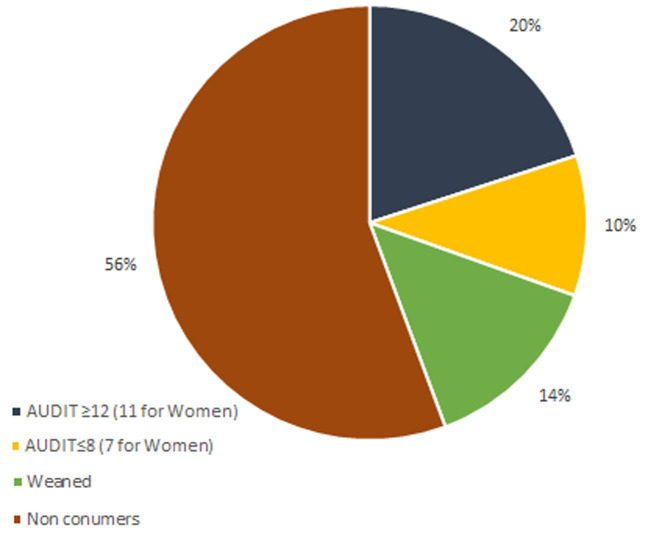 distribution of alcohol consumption and level of consumption according to the AUDIT scale