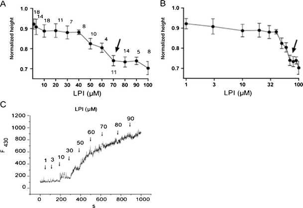 Determination of the CMC value for LPI. a and b Determination of CMC level using capillary height method. LPI-evoked changes in capillary height normalized to the mean capillary height level attained in LPI-free 140 mM K+-containing bath solution presented in linear (a) and log scale (b) to expand for clarity the data points derived from high and low LPI concentrations, respectively. Arrows indicate the point where the curve plateaued corresponding to the CMC level. The number of individual measurements is indicated above the averaged data points. c Determination of CMC level for LPI using the fluorescence method. LPI was added cumulatively to a solution containing 0.25 μM dephenylhexatriene in 140 mM K+-based bath solution and the rise in fluorescence at 30 μM LPI corresponds to transition to micelle aggregation. The excitation was 345 nm, fluorescence emission was 430 nm. Representative record out of five experiments