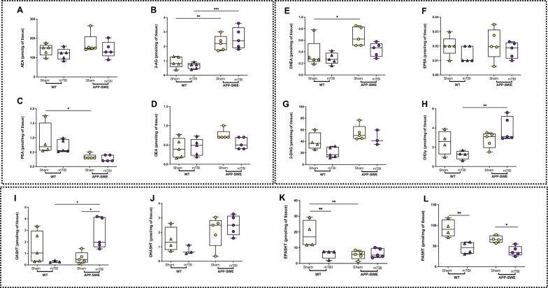 Effects of mTBI on endocannabinoids and N-acylethanolamine, monoacylglycerol and N-acylserotonin levels in the hippocampus of APP-SWE mice and their WT controls. A Levels of anandamide (AEA) expressed as pmol/g of tissue weight. B Levels of 2-arachidonoyl glycerol (2-AG) expressed as pmol/mg of tissue weight. C Levels of N-palmitoylethanolamine (PEA) expressed as pmol/mg of tissue weight. D Levels of N-oleoylethanolamine (OEA) expressed as pmol/mg of tissue weight. E Levels of N-docosahexaenoyl ethanolamine (DHEA) expressed as pmol/mg of tissue weight. F Levels of N-eicosapentaenoyl ethanolamine (EPEA) expressed as pmol/mg of tissue weight. G 2-docosahexaenoylglycerol (2-DHG) expressed as pmol/mg of tissue weight. (H) N-oleoylglycine (OlGly) is expressed as pmol/mg of tissue weight. I N-oleoylserotonin (OA5HT) expressed as pmol/mg of tissue weight. J N-docosahexaenoylserotonin (DHA5HT) expressed as pmol/mg of tissue weight. K N-eicosapentaenoylserotonin (EPA5HT) expressed as pmol/mg of tissue weight. L N-palmitoylserotonin (PA5HT) expressed as pmol/mg of tissue weight. Statistical analysis was performed by Two-way analysis of variance (ANOVA) followed by Tukey's multiple comparison test (*P ≤ 0.05; **P ≤ 0.01). Data are represented as boxplots with individual points