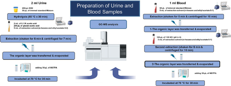 Image, graphical abstract