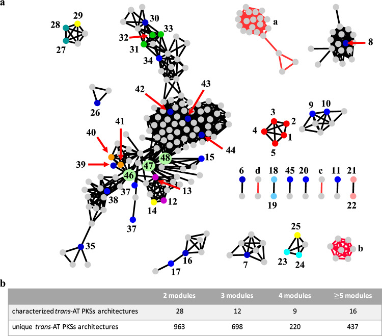 Conserved PKS motifs across all 1782 trans-AT PKS BGCs analyzed in this study.a Network representation (≥3 conserved consecutive modules). Individual PKSs are represented as nodes and the interconnecting edges indicate module pairs shared by two PKSs. 1: diaphorin; 2: nosperin; 3: onnamide; 4: pederin; 5: psymberin; 6: griseoviridin/virginiamycin, 7: leinamycin; 8: macrolactin; 9: kirromycin; 10: chivosazole; 11: basiliskamide; 12: 9-methylstreptimidone/cycloheximide; 13: migrastatin/dorrigocin; 14: secimide; 15: myxovirescin; 16: rhizoxin; 17: calyculin; 18: myxopyronin; 19: corallopyronin; 20: bryostatin; 21: chlorotonil; 22: anthracimycin; 23: FR901464; 24: thailanstatin; 25: spliceostatin; 26: enacyloxin; 27: oocydin; 28: phormidolide; 29: gynuellalide; 30: rhizopodin; 31: luminaolide; 32: misakinolide; 33: tolytoxin; 34: oxazolomycin; 35: etnangien; 36: batumin/kalimantacin; 37: sorangicin; 38: SIA7248; 39: elansolid; 40: thiomarinol; 41: mupirocin; 42: thailandamide; 43: bacillaene; 44: difficidin; 45: patellazole; 46: P. durus|CP009288|c3; 47: B. gladioli|CP009322|c8; 48: G. sunshinyii YC6258|CP007142|lacunalide. Colored nodes: characterized PKSs as depicted in Fig. 2a; gray: orphan PKSs; yellow nodes: PKSs for which the corresponding polyketide was identified in this study; light green nodes: nodes with a high transitivity (i.e., connected to several other nodes representing different PKS families); red edges: novel module blocks conserved in biosynthetic pathways. a: mainly Burholderia spp.; b: mainly Paenibacillus spp.; c: Candidatus Magnetomorum; d: Pseudomonas spp. Note: individual nodes represent unique trans-AT PKS architectures, can be composed of multiple GenBank files and might be responsible for the biosynthesis of distinct polyketides (e.g., cycloheximide and 9-methylstreptimidone). b Number of shared modules between all characterized PKSs and all 1782 trans-AT PKS BGCs analyzed in this study. An editable Cytoscape network file is available as source data.