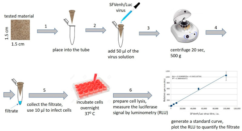 Schematic representation of the virus filtration test (technical details are provided in text). (1) 1.5 cm × 1.5 cm filter sample is cut out from each material, folded into the form of a conical funnel, and placed into a 1.5 mL tube; (2) 50 µL of recombinant Semliki forest virus (SFV)-enh/Luc virus solution (107 i.u./mL) is added into the cone; (3) the tube is centrifuged to allow the virus to pass through the material; (4) the filtrate (indicated by arrow) is collected; (5) the filtrated is diluted and used for cell infection in a 24-well cell culture plate; (6) after overnight incubation of the plate the cell lysates are prepared and the virus infection is measured by detection of the luciferase activity in infected cells (luminometry). The cell infection with the standard dilutions of the virus is used to generate a standard curve and to calculate the amount of virus in the filtrate.