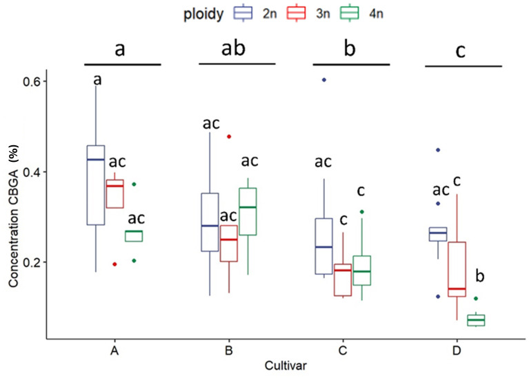 Boxplot of the concentration of CBGA (expressed as % of dry flower weight) of a HPLC analysis of flowers of diploid (2n), triploid (3n) and tetraploid (4n) plants of four Cannabis sativa L. cultivars. A logarithmic transformation was performed as indicated by a Box-Cox test. Two-way ANOVA: Cultivar; F3,76 = 15.885, p = 4.12e-08. Ploidy; F2,76 = 21.644, p = 3.63e-08. Cultivar x Ploidy; F6,76 = 4.727, p = 0.000386. Different letters above bars indicate significant differences at p<0.05 with a Tukey post-hoc analysis.