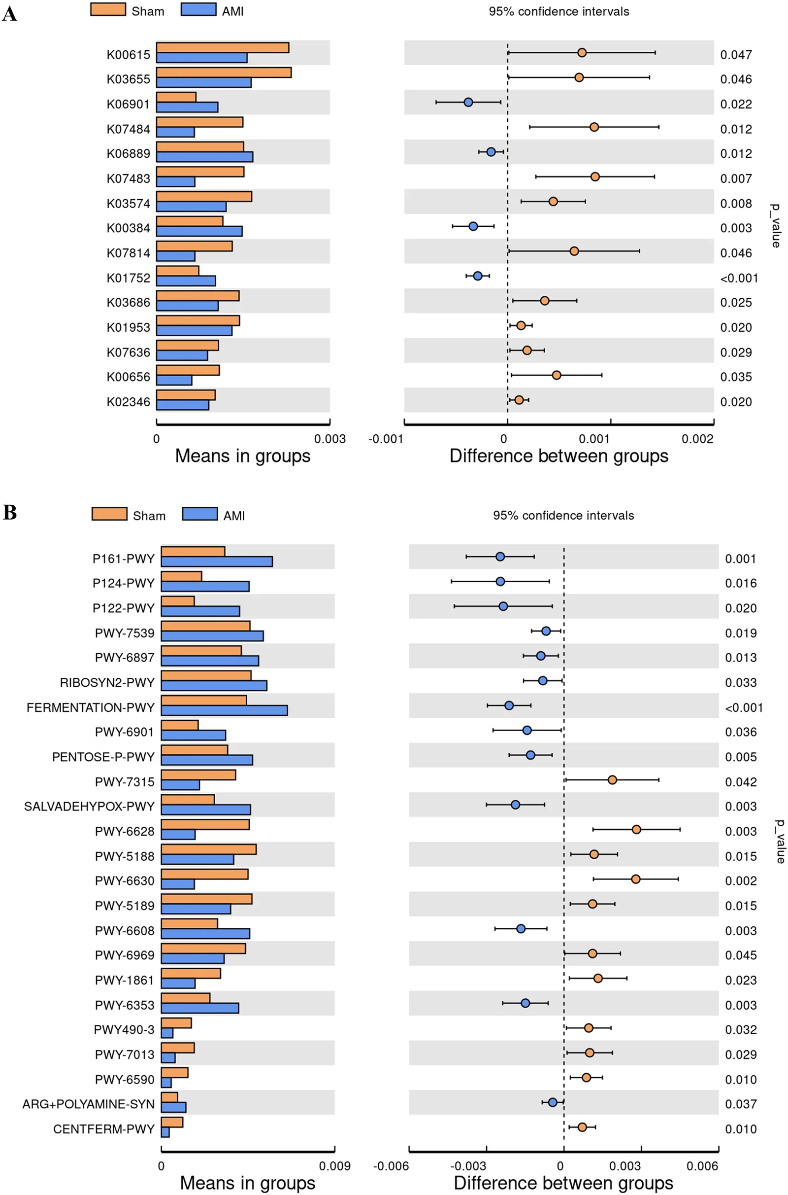 Bar and dot plot grouped figure showing functional differences between Sham (orange) and AMI (blue) groups. Panel A displays KEGG orthologs, with corresponding means in groups and differences between groups with ninety-five percent confidence intervals and p-values. Panel B presents metabolic pathways with the same comparison layout. Left panels use horizontal bar plots for means in groups; right panels show dot and whisker plots for group differences with labeled p-values. Legend identifies color coding for both groups.