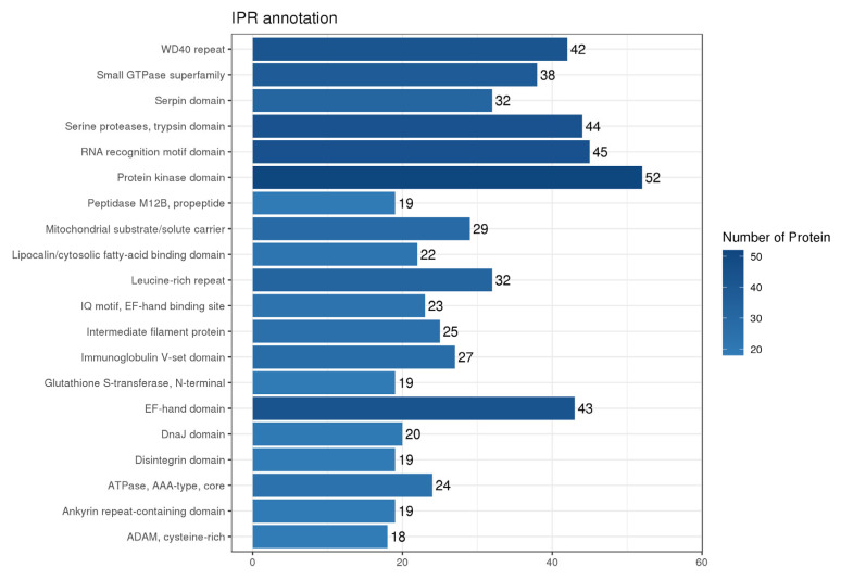 Histogram of structural domain annotation results. Horizontal coordinates represent the number of proteins, while the vertical coordinates represent the IPR entries to which the proteins are annotated.