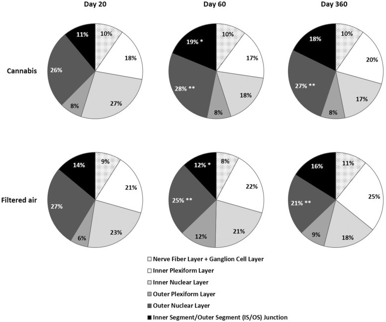 Mean volume fraction of each retina layer under stereology of the offspring of pregnant mice exposed to Cannabis smoke or filtered air during pregnancy. *P = 0.035 (MANOVA, 95% CI: 10.6–17.4, age*exposition) **P = 0.005 (MANOVA, 95% CI: 22.8–26.4, sex*exposition)