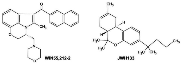 Chemical structures of synthetic cannabinoids used in the study: WIN55,212-2, a CB1/CB2 receptor agonist ((R)-(+)-(2,3-Dihydro-5-methyl-3-(4-morpholinylmethyl)pyrrolo(1,2,3-de)-1,4-benzoxazin-6-yl)-1-naphthalenylmethanone) and JWH133, a selective CB2 receptor agonist ((6aR,10aR)-3-(1,1-Dimethylbutyl)-6a,7,10,10a-tetrahydro-6,6,9-trimethyl-6H-dibenzo[b,d]pyran).