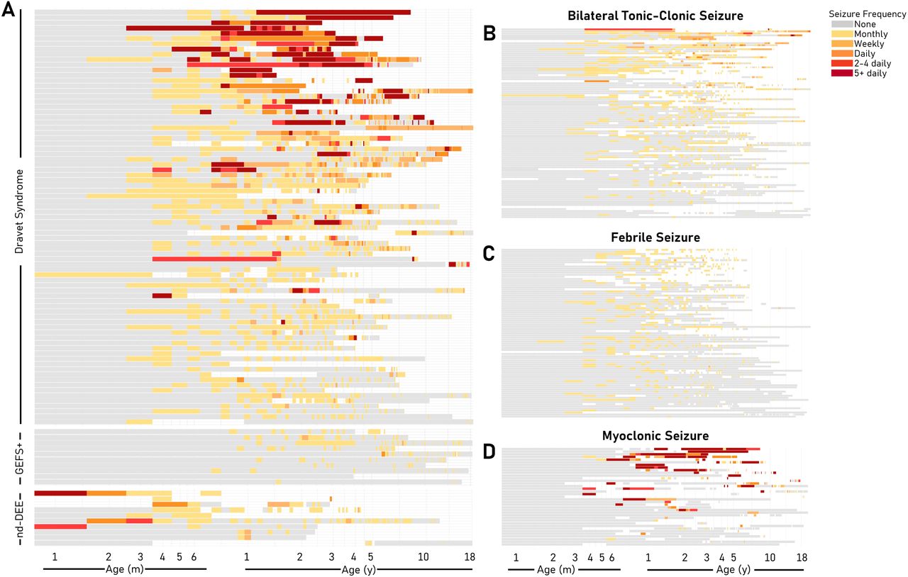 Seizure frequency by individual and semiology. Seizure frequency is represented overall (A) and by semiology (B-D) over the first 18 years of life. Each segment of the y-axis represents one individual, with panel A being grouped by clinical diagnosis: Dravet syndrome (top), genetic epilepsy with febrile seizures plus (GEFS+; middle), and non-Dravet developmental and epileptic encephalopathy (nd-DEE; bottom). The x-axis represents age on a logarithmic scale from 0-18 years. Seizure frequency is indicated by color as outlined in the legend. White space indicates months where seizure frequency is unknown for a given individual.