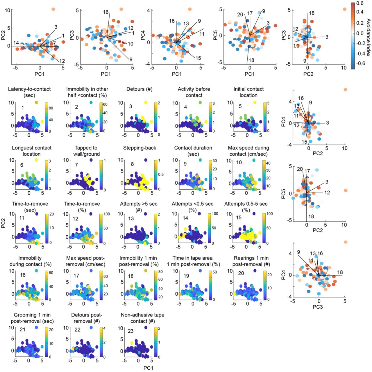 Multidimensional analysis of familiarization and impact on retrieval for mice exhibiting short contact duration with the sticky tape (related to the Supplementary Information)Projections of the 23 parameters considered in familiarization along the first two principal components (parula colormap) on mice exhibiting a short contact duration (≤30 seconds) with the sticky tape. Projections of the avoidance index (blue to red colormap) along with the contributions of key parameters represented by vectors on the first five principal components.