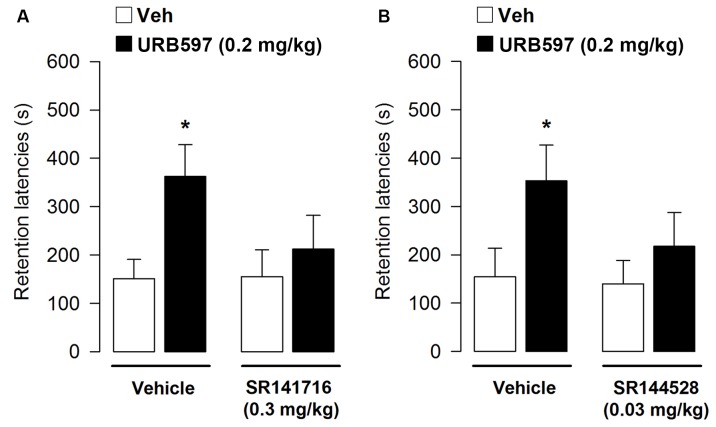 Effects of post-training administration of URB597 after concurrent administration with the CB1 and CB2 antagonists on retention latencies in the inhibitory avoidance task. The enhancing effect on memory retention induced by URB597 0.2 mg/kg was reverted by blocking cannabinoid receptor activity through co-administration with: (A) SR141716 (0.3 mg/kg); (B) SR144528 (0.03 mg/kg). Data represent mean ± SEM. ∗p < 0.05 vs. vehicle-treated rats (n = 10–12 per group).