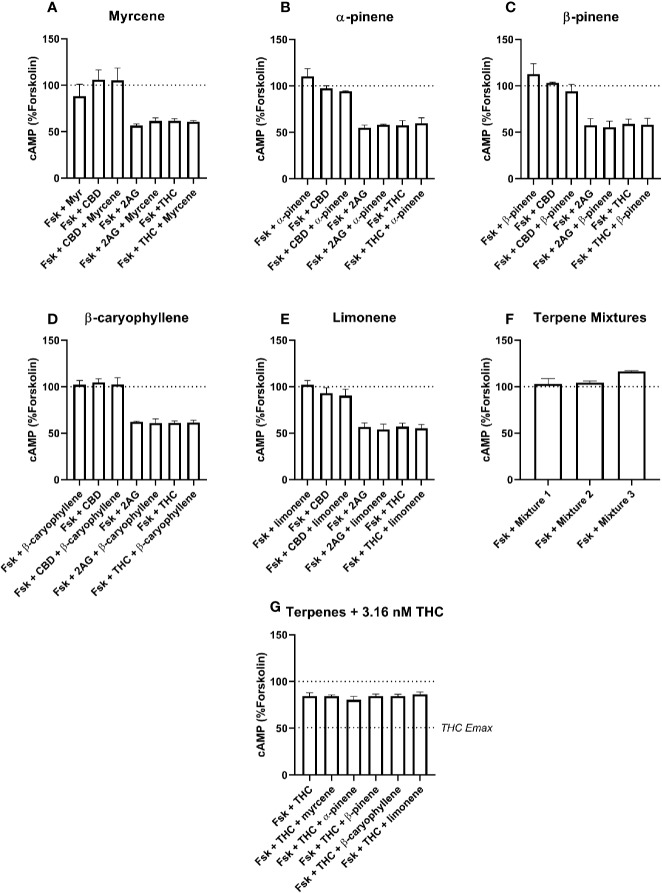 hCB1-Mediated inhibition of cAMP production in response to forskolin (Fsk) and drug combinations with 10 µM myrcene (A), α-pinene (B), β-pinene (C), β-caryophyllene (D), limonene (E), or terpene mixtures (F). Figure (G) shows inhibition of the Fsk response by an approx. EC50 concentration of THC (3.16 nM) in combination with 10 µM of each of the five terpenes. Data are normalized to forskolin (100%) and basal (0%). cAMP responses were stimulated with forskolin (5 µM), and all cannabinoids and terpenes were at a final concentration of 10 µM. Data are means ± SEM of three independent determinations.