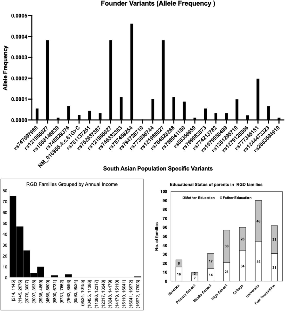 Highlights of demographics and founder variation in study cohortA: Allele frequency of South Asian Founding Pathogenic Variants identified in current study B: Annual income of RGDs families in current study plotted in eight groups dividing low-, low-middle, high-middle and high income groups C: Educational status of RGD parents in current study exhibits major proportion of highly literate parents