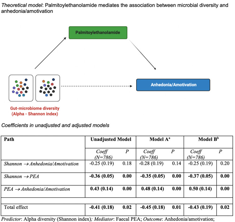 Unadjusted and adjusted coefficients of mediation model.Note: PEA values were log transformed and scaled to a mean of 0 and standard deviation of 1. aModel A: Adjusted for technical confounders: storage time (freezer) – PEA; storage time (fridge) – PEA; microbiome operator; microbiome collection method (post or visit) AND for basic demographics (age, gender, ethnicity). bModel B: Model A + obesity, unhealthy diet, antidepressants.