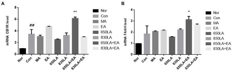mRNA expression of CB1R and FAAH in rats with paclitaxel-induced allodynia according to type of acupuncture treatment. There was a significant increase in mRNA CB1R in the Con group compared to the Nor group (p < 0.01), and a significant increase in mRNA CB1R in the 630LA + EA group compared to the control group (p < 0.01, A). Compared to the Nor group, the Con group had a tendency to an increase in FAAH mRNA expression and a significant increase in mRNA FAAH in the 630LA + EA group compared to the control group (p < 0.05, B). ##p < 0.01 compared to the normal group; *p < 0.05, compared to the control group; **p < 0.01, compared to the control group. MA, manual acupuncture; EA, electroacupuncture; LA, laser acupuncture; Nor, normal; Con, control.