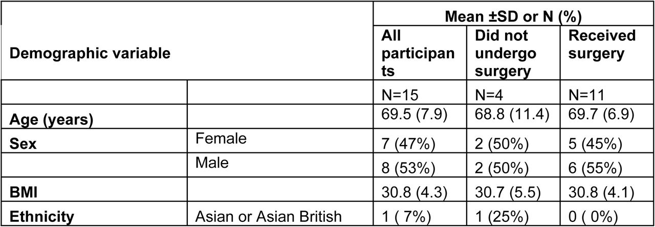 Feasibility study participant demographics