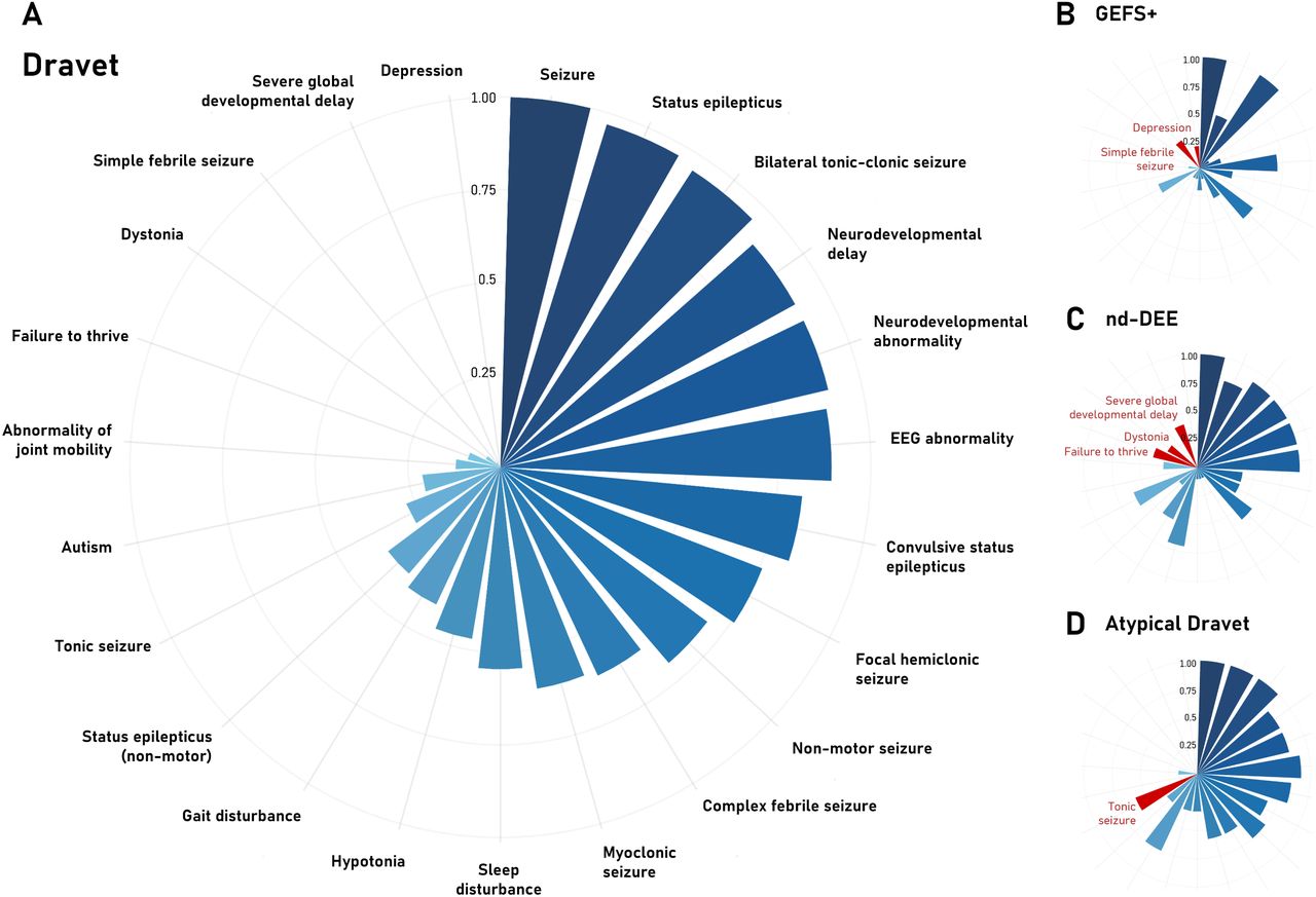 Frequency of select phenotypic features by clinical diagnosis.The frequency of selected phenotypes in individuals with Dravet syndrome (A), genetic epilepsy with febrile seizures plus (GEFS+; B), non-Dravet developmental and epileptic encephalopathy (nd-DEE; C), and atypical Dravet syndrome (D). Phenotypes are sorted by frequency in Dravet syndrome. Terms highlighted in red are enriched compared to the Dravet syndrome sub-cohort at P < 0.05.
