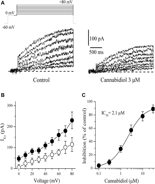 Cannabidiol suppresses the I Ks component of the delayed rectifying I K (A) Original current traces recorded in control conditions (on the left) and after 10 min exposure to 3 μM CBD (on the right) in rabbit cardiomyocytes. The pulse protocol to activate I Ks is presented in the inset. Only solid lines in the voltage protocols are presented in current traces. Dotted line indicates 0 mV baseline (B) Current-voltage relations of I Ks in the absence and presence of 3 μM CBD are presented with filled and open circles, respectively (n = 5) (C) Concentration-inhibition curve for CBD inhibition of I Ks (n = 4–7).