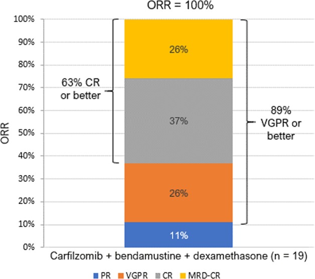 Best response to treatment.CR complete response, MRD minimal residual disease, ORR overall response rate, PR partial response, VGPR very good partial response. All CRs were confirmed by bone marrow aspiration.