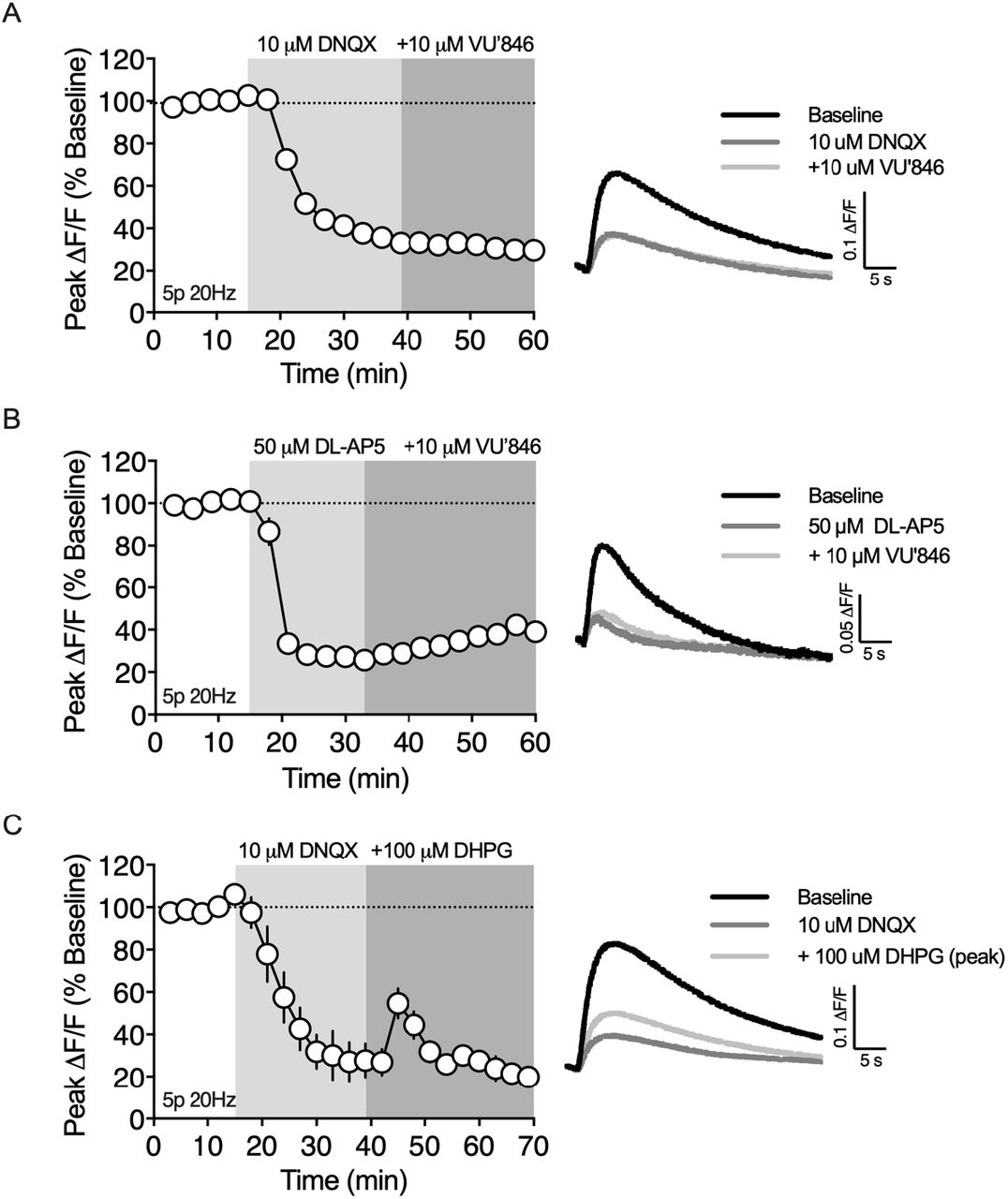M1Rs and mGlu1/5s trigger 2-AG mobilization through distinct mechanisms that differentially require ionotropic glutamate receptors.A) Bath application of the AMPAR antagonist, DNQX, blocks VU’846 augmentation 2-AG production (n = 3 slices, 1-way RM ANOVA, Drug: F(2,4) = 685.7, p < 0.0001). B) Bath application of the NMDAR antagonist, DL-AP5, blocks VU’846 augmentation 2-AG production (n = 4 slices, 1-way RM ANOVA, Drug: F(2,6) = 402.3, p < 0.0001). C) (RS)-DHPG transiently augments 2-AG production in the presence of DNQX (n = 3 slices, 1-way RM ANOVA, Drug: F(2,4) = 52.17, p < 0.0001).