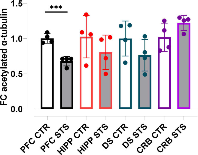 Psychosocial stress affects α-tubulin acetylation at K40 in different brain regions.Individual brain regions of control and stressed animals exposed to V+V were dissected and protein lysates prepared. Four biological replicates each were loaded onto SDS-gels, blotted, and finally tested with antibodies against acetylated-α-tubulin (K40) and β-actin. The relative amount of acetylated-α-tubulin in each lane was calculated by normalization for β-actin in the same lane. The fold changes of the relative amount of acetylated-α-tubulin in distinct brain regions of stressed animals were calculated using the mean value of the relative amount of acetylated-α-tubulin in the same brain region of control animals as reference. The dots represent the average values of the relative amount of acetylated-α-tubulin of all technical replicates for each of the four biological replicates. Light grey bars represent the stress group. CTR, control; STS, stress; V, vehicle; PFC, prefrontal cortex; HIPP, hippocampus; DS, dorsal striatum; CRB, cerebellum. One, two or three symbols indicate p < 0.05; p < 0.01, p<0.001, respectively.