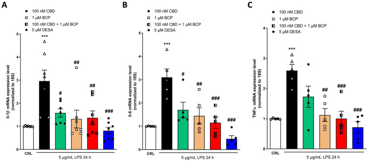 The anti-inflammatory effects of CBD and BCP alone or in combination (at a ratio of 1:10) on LPS-stimulated HaCaT cells, evaluated using RT-qPCR. Data shown are the mRNA levels of IL-1β (A), Il-6 (B), and TNFα (C) in HaCaT cells exposed to 5 µg/mL of LPS for 24 h alone or in the presence of 100 nM CBD or 1 µM BCP, alone or in combination. The combination induced a significant reduction in the expression levels of IL-1β (A), IL-6 (B), and TNFα (C), compared to LPS. *** p < 0.001 vs. CRL, # p < 0.05, ## p < 0.01, ### p < 0.001 vs. LPS. (ANOVA + Tukey’s w-test). Δ represented LPS alone. ○ represented CRL alone.