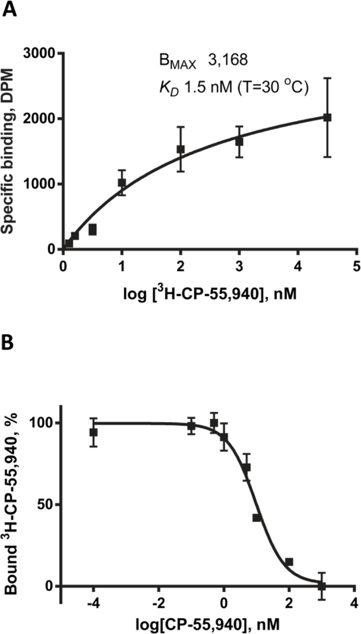 Saturation (A) and competition (B) binding assay with [3H]-CP-55,940 on E. coli membranes expressing CB2-130. Twenty micrograms of membrane preparations containing CB2 were used per reaction, and the assay was performed as described in [21]. Each point represents an average of duplicate measurements (adapted from [21]).