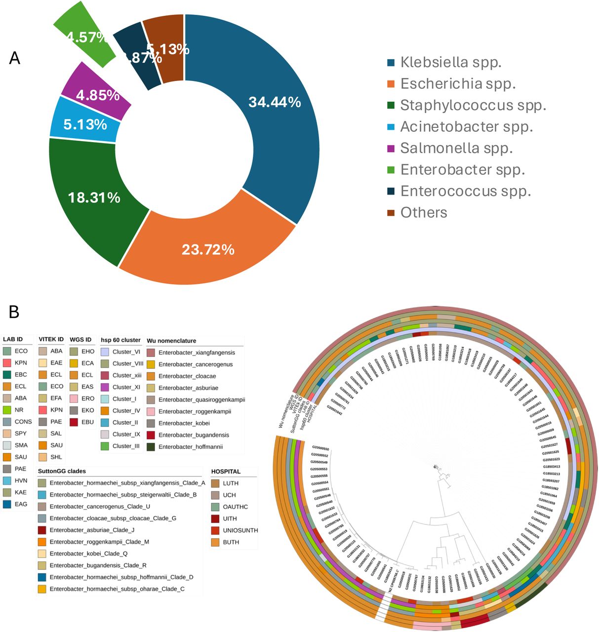 Proportion of Genera received from invasive infections from six sentinels in the Nigeria AMR surveillance system (2014-2020) Figure 1b: Maximum likelihood tree showing whole genome sequence identifications of Enterobacter isolates recovered from patients admitted into six hospitals in southwestern Nigeria juxtaposed on identifications of Enterobacter species by the diagnostic lab sentinels and reference lab Vitek2 reidentification, their clades and Hoffman clusters.