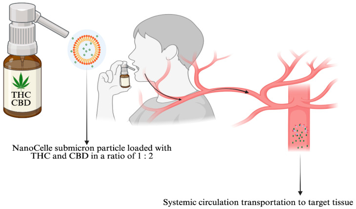 NanoCelleTM technology: the oro-buccal delivery of medicinal cannabis through the facial lymphatics and from there into the systemic circulation, transported to target tissues [Created in BioRender (https://BioRender.com), Vitetta, L. accessed on 27 May 2025].