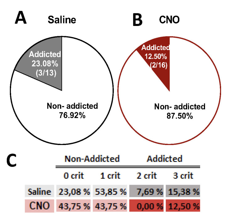 Percentage of clozapine-N-Oxide (CNO)-treated mice with an inhibition of the prelimbic to nucleus accumbens (PL-NAc) core pathway classified as cannabinoid-addicted and corresponding saline controls.Chi-square, ***P < 0.001, n = 13 for saline-treated mice (A) and n = 16 for CNO-treated mice (B). (C) Table with percentages per criteria. Data derived from Cajiao et al. [7].