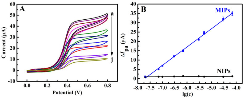 (A) CVs of 0.5 mM Fc(COOH)2 at 0.01 V s−1 in pH 7.0 PBS containing 1 mg mL−1 GOD and 15 mM glucose for CBD-rebinding MIP/AuNP-rGO/GCE after rebinding CBD at different concentrations (a)–(j): 0, 0.02, 0.07, 0.1, 0.3, 0.7, 3, 5, 30, and 70 μM. (B) Calibration curves for the MIP and NIP film electrodes. The CV measurements were performed under a nitrogen atmosphere and the error bars represent the standard deviation of the experimental results (n = 3).