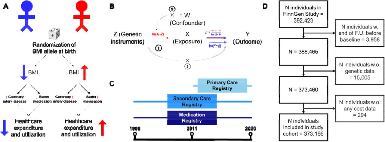 Graphical abstract. (A): Example of how genetic variants associated with BMI and randomly assigned at birth can be used to infer the causal impact of BMI on healthcare costs (e.g., by modifying risk for cardiovascular disease and statin medication). (B): Assumptions underlying MR. 1: Genetic instruments must be robustly associated with the exposure (risk factor), 2: there must be no confounders of the genetic instruments-outcome association, and 3: Genetic instruments must not influence the outcome except through the exposure. (C): National healthcare registries link with the FinnGen Study to estimate annual total healthcare costs. (D) STROBE flow diagram for study cohort, in which 373,160 individuals were included.