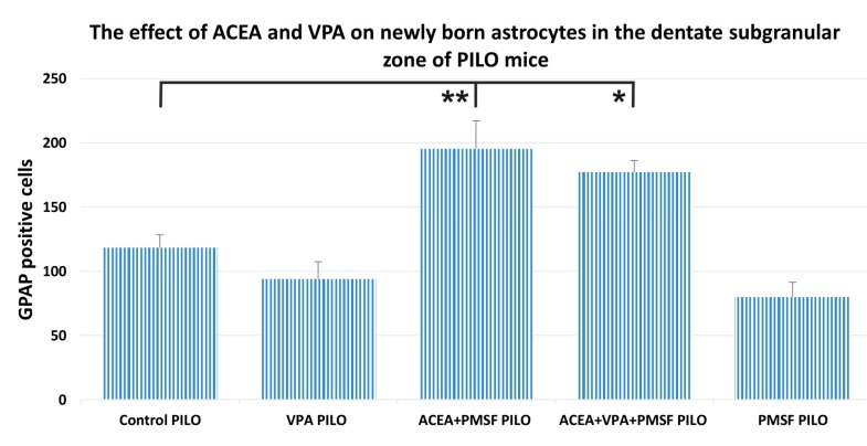 The effects of ACEA and VPA on newly born astrocytes in the dentate subgranular zone of PILO mice. The numbers of cells represent an estimate of the total number of positively labeled cells in the subgranular zone in both hemispheres. The results were analyzed using one-way analysis of variance (ANOVA) followed by the Dunnet’s test for multiple comparisons. Total numbers of BrdU/GFAP-positive cells slightly decreased after VPA PILO injections, whereas in ACEA + PMSF + VPA PILO-treated mice a significant increase in newly born cells was observed as compared to the PILO control group (p < 0.05). The total number of BrdU/GFAP positive cells in PMSF PILO mice was not significantly different in comparison to the PILO control group (p > 0.05 for comparisons). Each bar represents the mean for five or six mice; error bars are S.E.M. (* p < 0.05; ** p < 0.01).