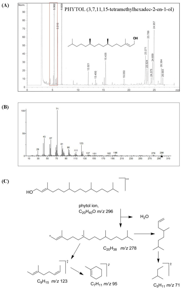 Characterization of phytol isolated from HSO. (A) Gas chromatogram of acyclic aliphatic alcohols, triterpene alcohols, and 4-methylsterol fractions of unsaponifiable HSO and chemical structure of phytol (3,7,11,15-tetramethylhexadec-2-en-1-ol). (B) Mass spectrum and (C) schematic representation of the phytol mass fragmentation pattern.