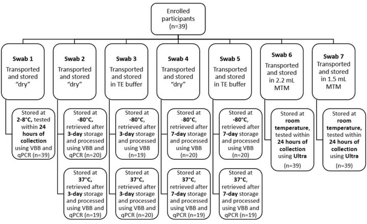 Overview of tongue swab collection, transport, storage conditions, and testing methods for participants in Phase 2 (n=39).Swabs were stored “dry,” in Tris-EDTA (TE) buffer, or PrimeStore® MTM, and tested using qPCR or Xpert Ultra after various storage durations (24 hours to 7 days) and temperatures (2–8°C, −80°C, 37°C, or room temperature).