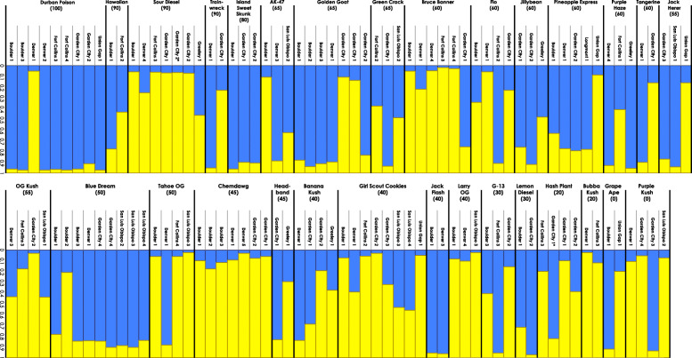 Bar plot graphs generated from STRUCTURE analysis for 122 individuals from 30 strains dividing genotypes into two genetic groups, K=2. Samples were arranged by purported proportions from 100% Sativa to 100% Indica (Wikileaf 2018) and then alphabetically within each strain by city. Each strain includes reported proportion of Sativa in parentheses (Wikileaf 2018) and each sample includes the coded location and city from where it was acquired. Each bar indicates proportion of assignment to genotype 1 (blue) and genotype 2 (yellow)