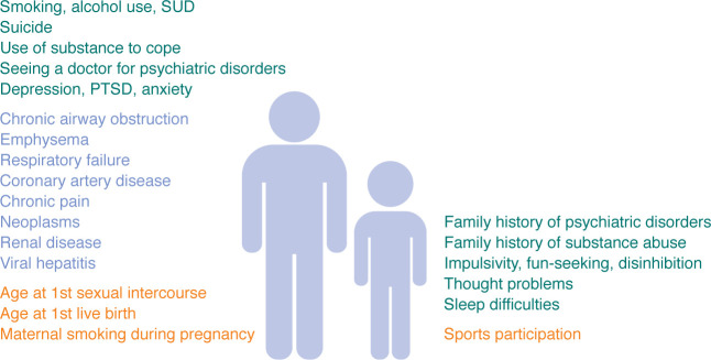 Phenome-wide associations between SUD-g and other medical and behavioral traits.In adults, the polygenic liability to SUD-g was associated with multiple mental and physical health conditions, notably other serious psychiatric disorders, and somatic problems. Even in 9- to 11-year-old children who had not previously used any substances, SUD-g polygenic liability was correlated with family history of psychiatric problems as well as behavioral traits. Associated traits shown are not an exhaustive listing of all phenotypic associations observed.