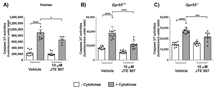 Effects of JTE 907 on human and mouse islet apoptosis. 10 μM JTE 907 significantly protected against cytokine-induced apoptosis in human (A) and mouse (B,C) islets, but had no significant effect on basal apoptosis. Data show mean + SEM data of 8–10 observations per treatment group that are representative of 3 independent experiments using both mouse and human islets. * p < 0.05, *** p < 0.001, **** p < 0.0001, p > 0.05 (vehicle vs. JTE 907 in the absence of cytokines). Data were analysed using one-way ANOVA, followed by Tukey’s multiple comparisons post-test.